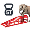 Rampa podjazdowa ST5T dla samochodów 2000kg (siłownik 5000 kg)