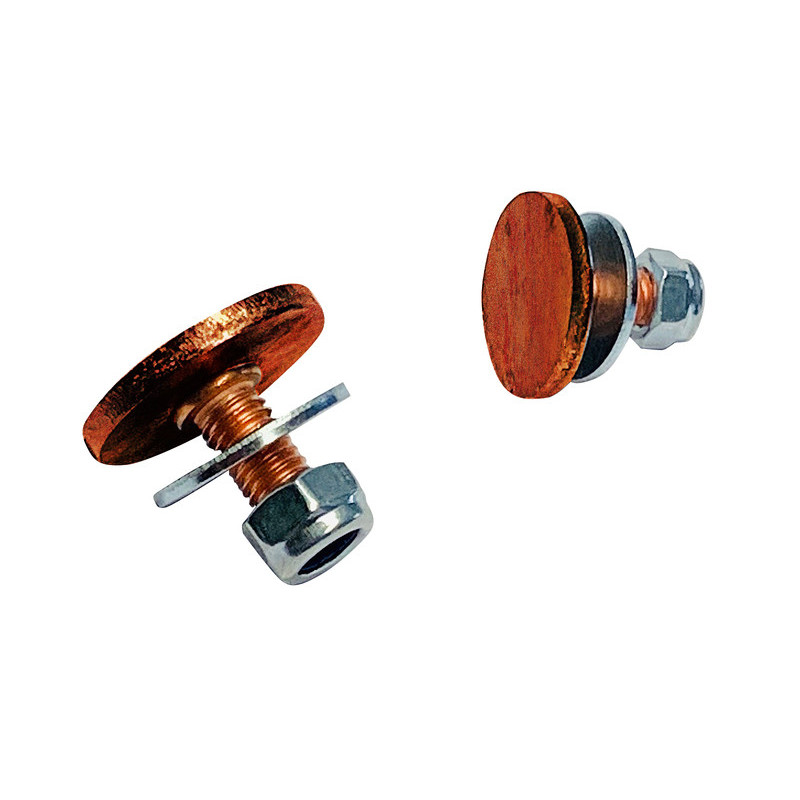 Śruby korten/corten do obrzeży trawnikowych x10szt.