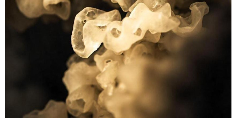 Jak zabezpieczyć się przed zatruciem czadem?