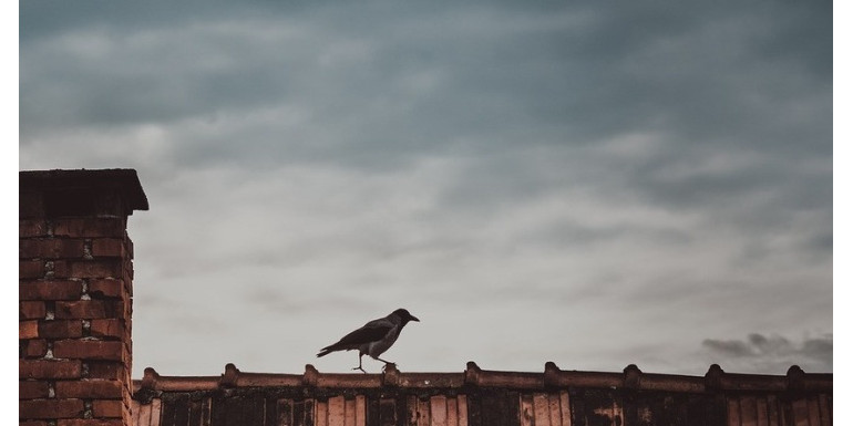 Remont komina: kiedy trzeba go wykonać?