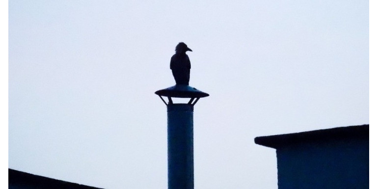 Jak wyeliminować odgłosy dochodzące z komina?