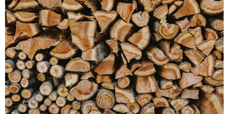 Gdzie i jak przechowywać drewno opałowe? 4 sposoby