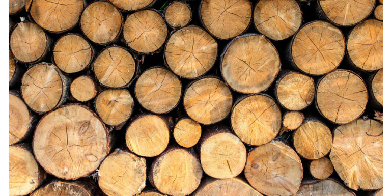 Drewno jako materiał opałowy - wybór, przechowywanie i palenie