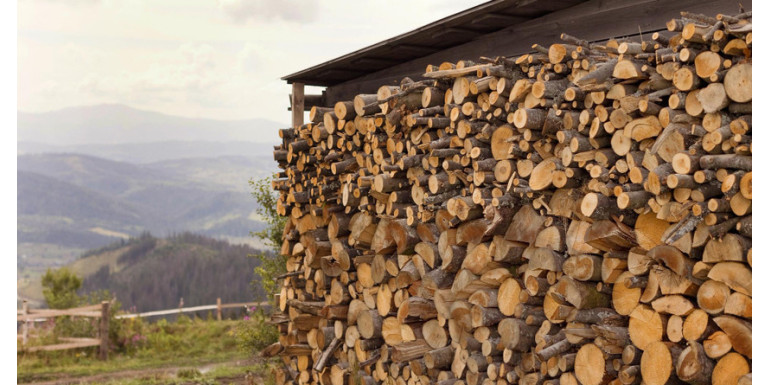 Jaki system kominowy kupić do palenia drewnem?