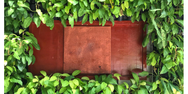 Zastosowanie stali kortenowskiej w ogrodzie